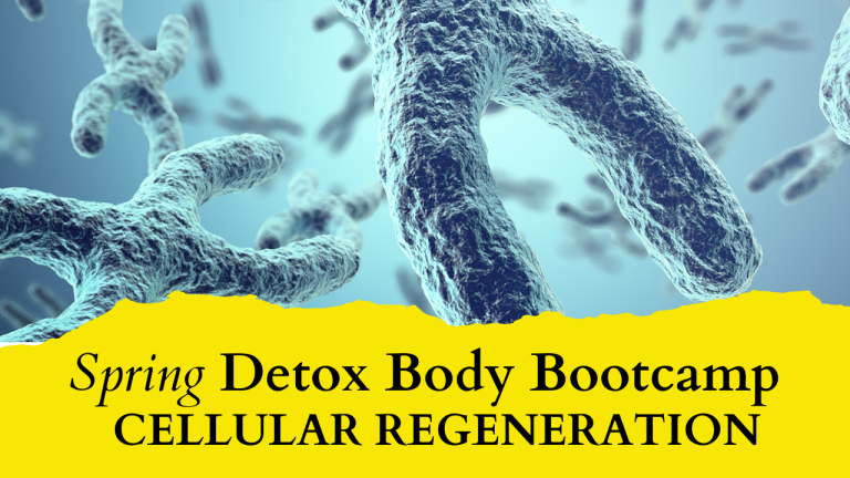 Spring Detox Cellular Regeneration 768x432