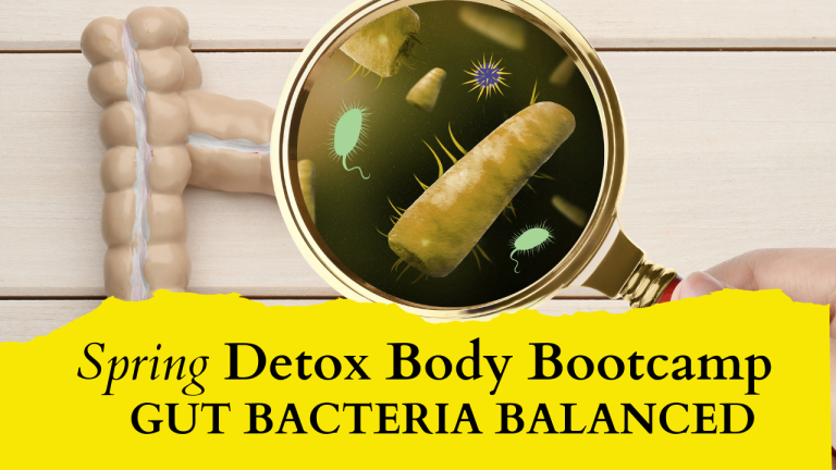 Spring Detox Gut Bacteriia 768x432